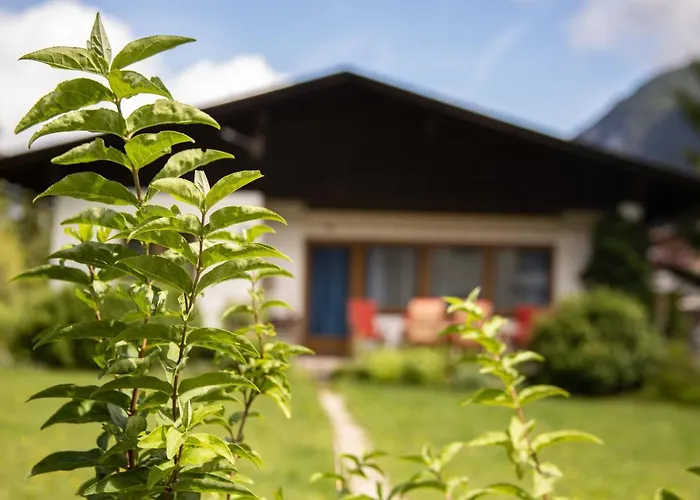 Forellenhof & Grossmutters